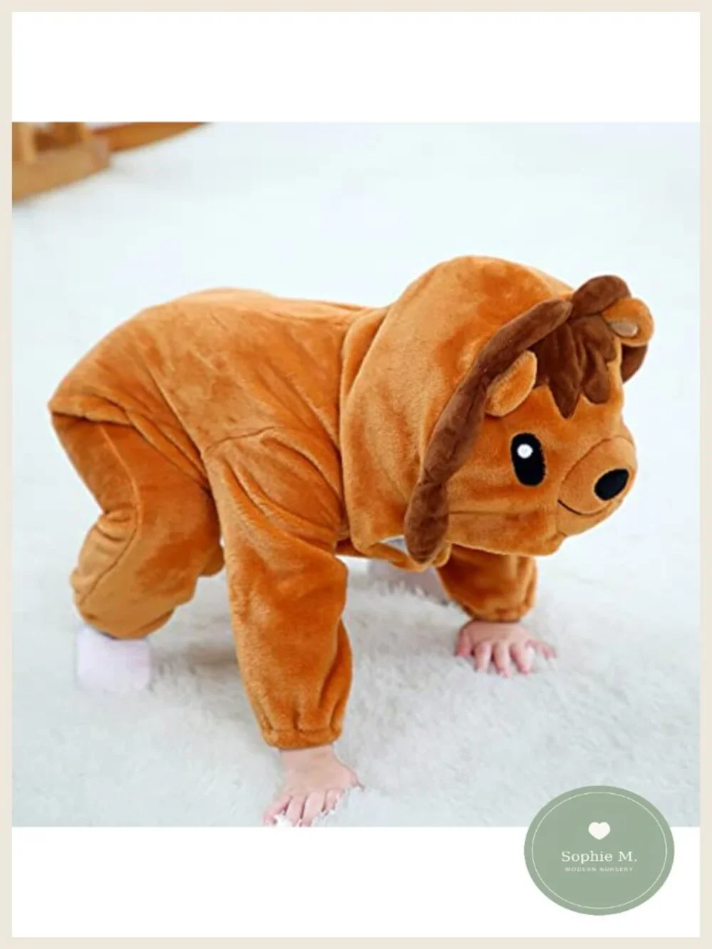 N/A adorable animal