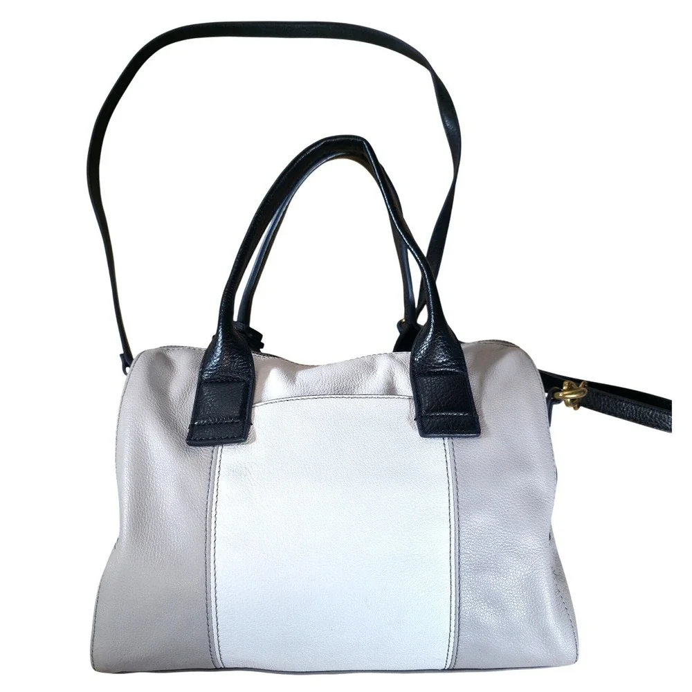 Fossil jori large