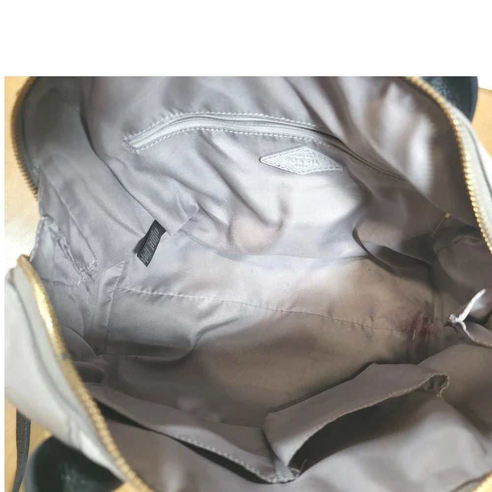 Fossil jori large