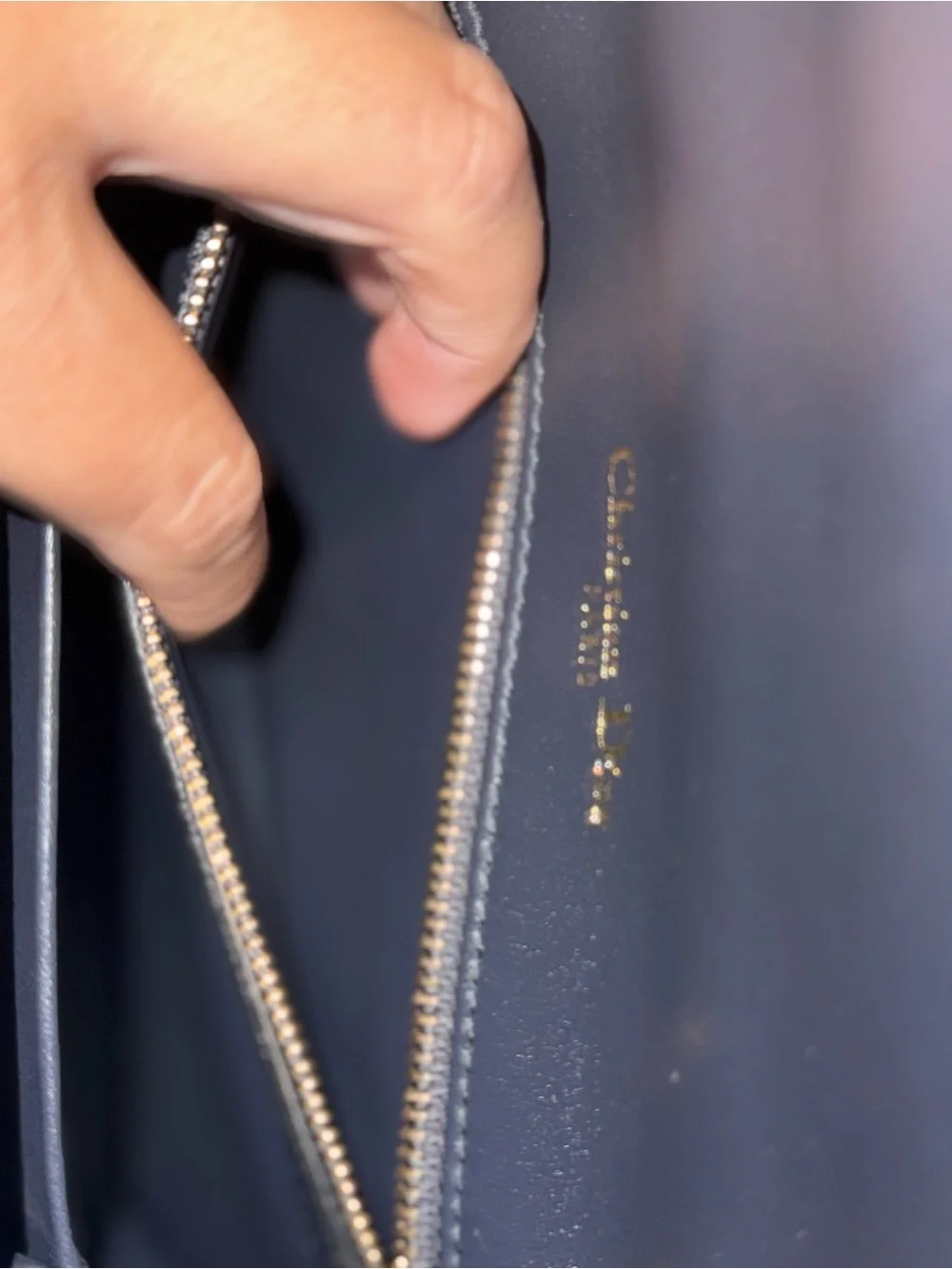 Dior authentic christian