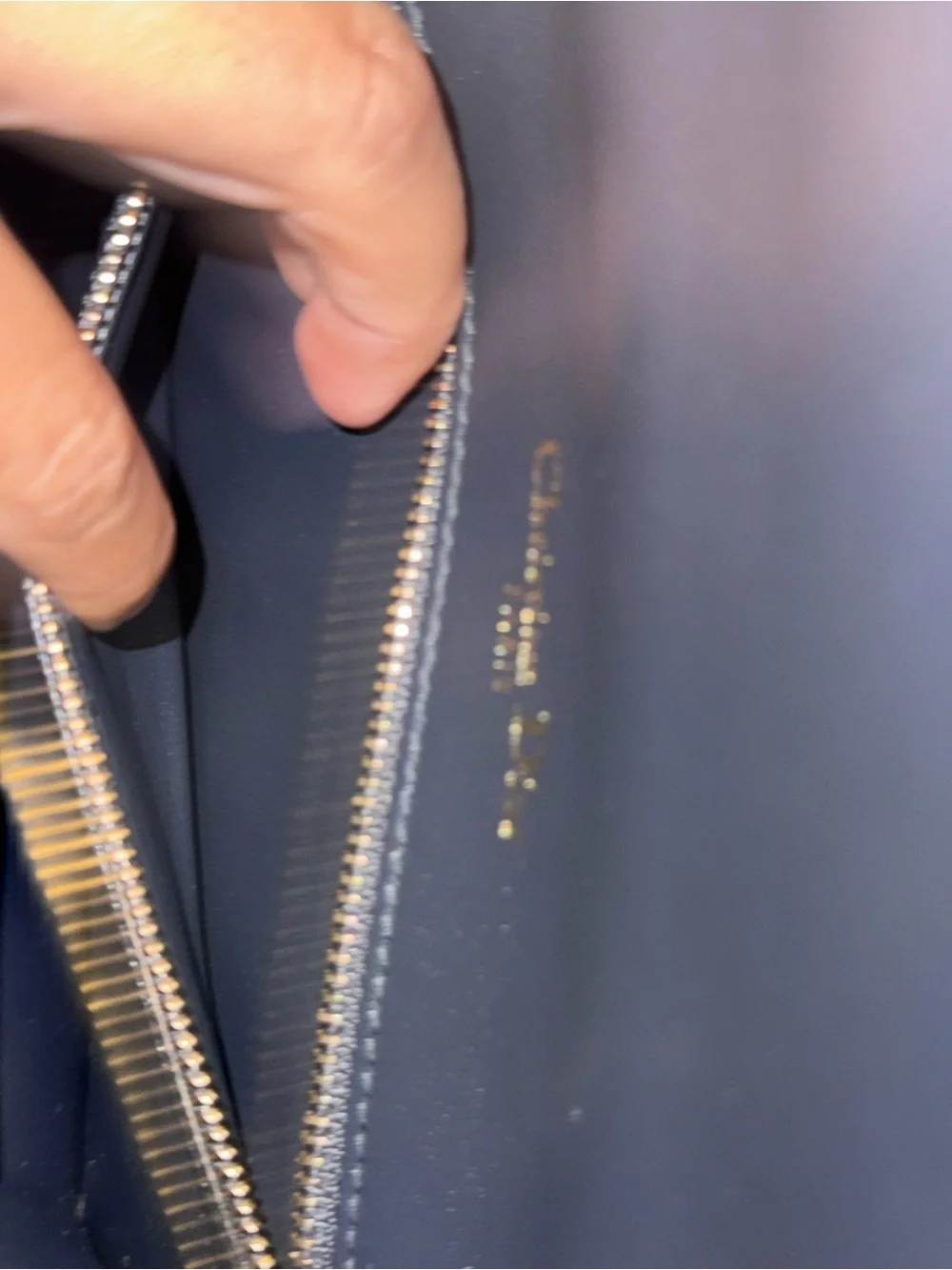 Dior authentic christian