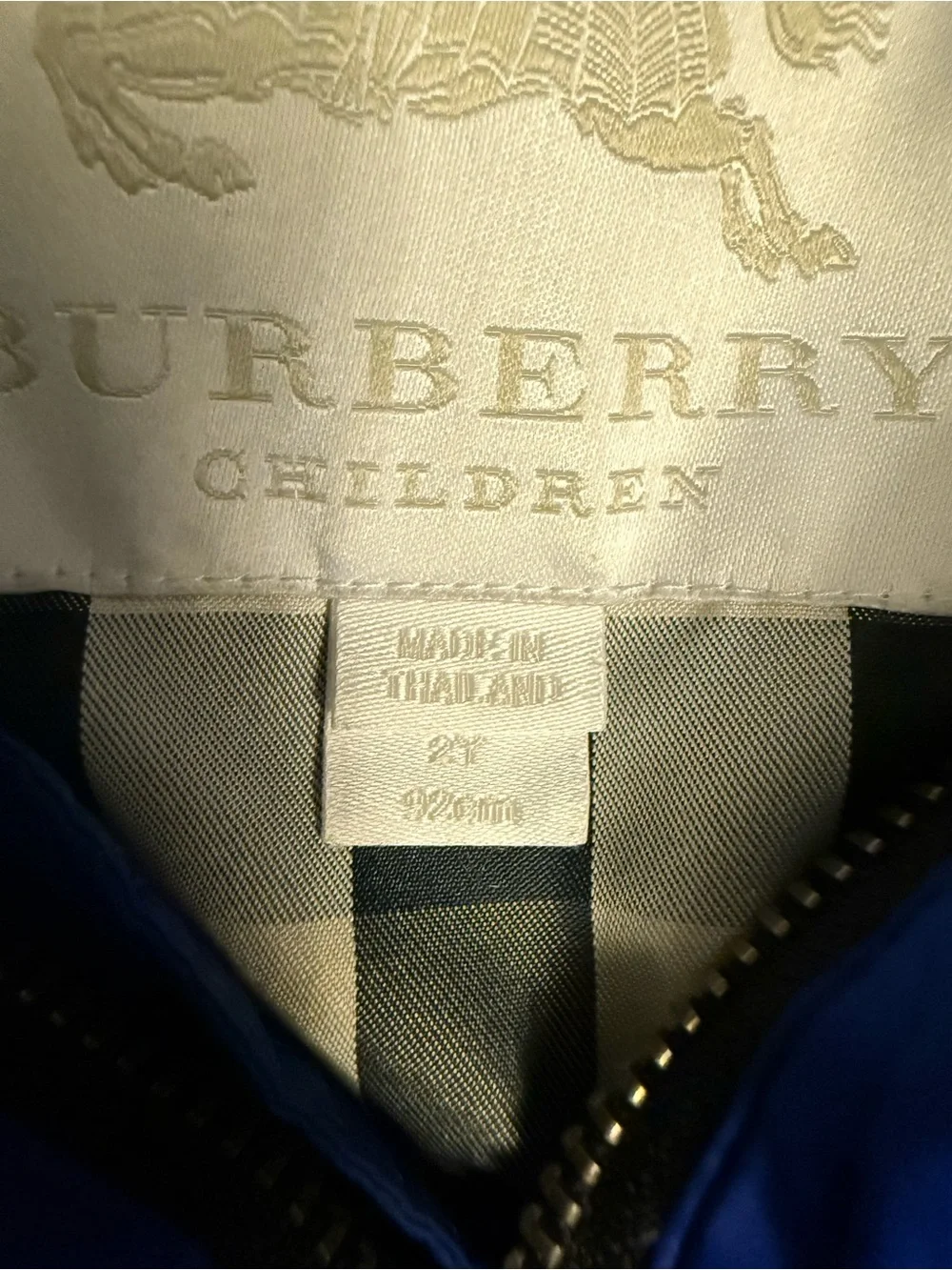 Burberry classic down