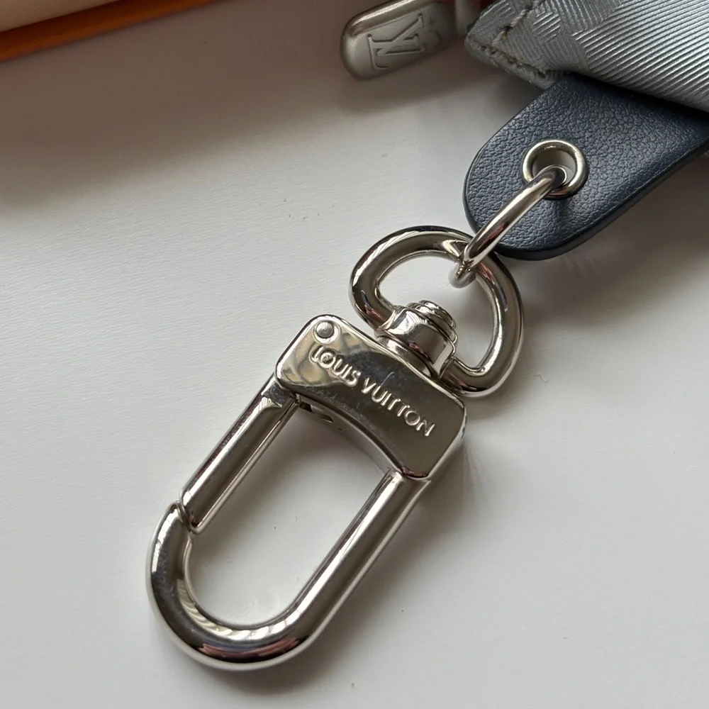 Louis Vuitton authentic louis