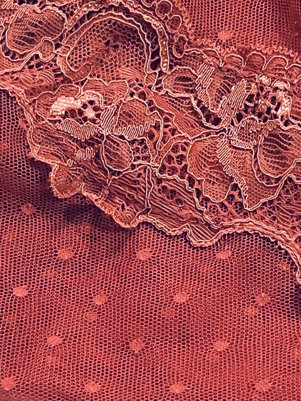 Free People nwt free