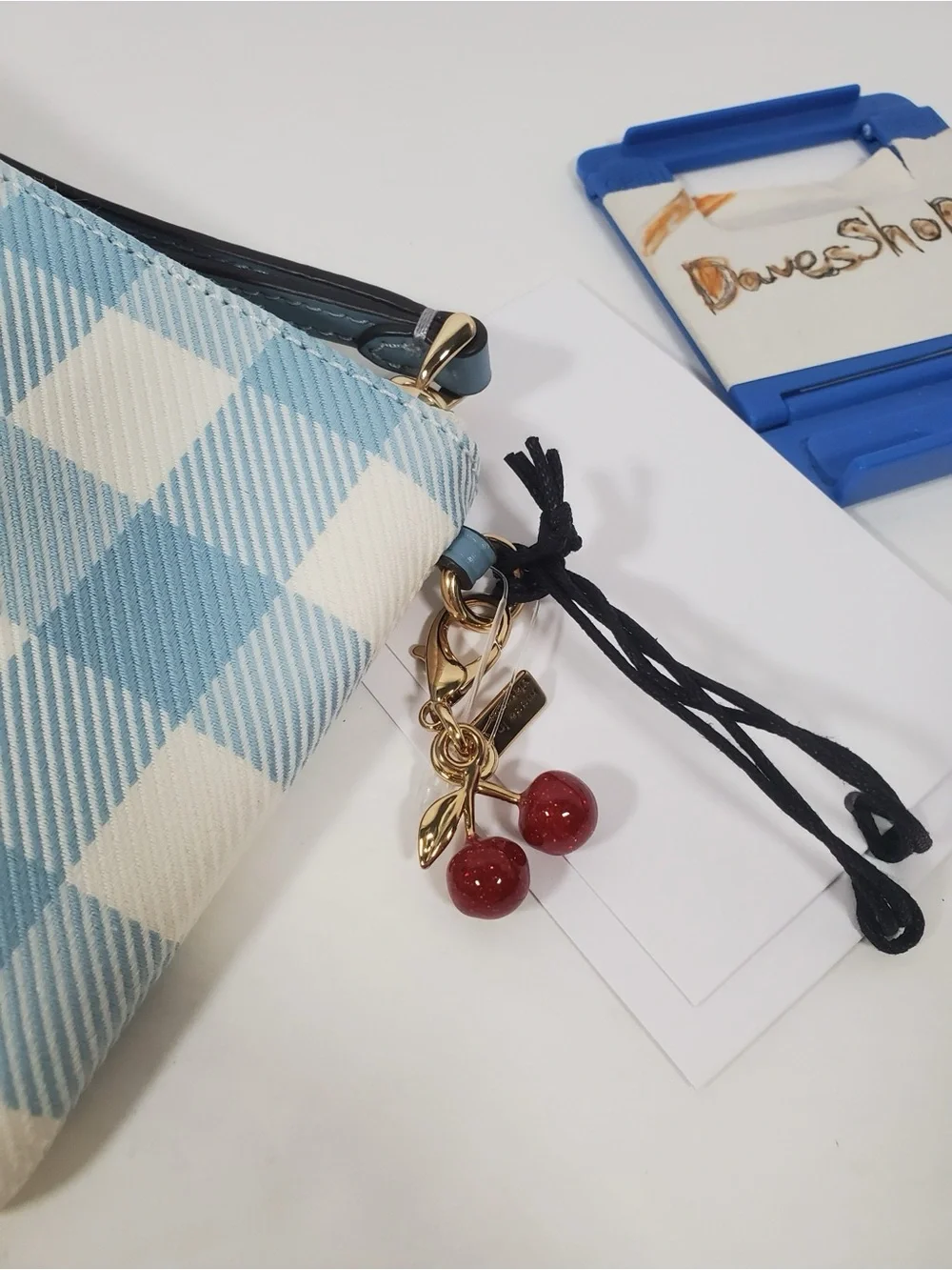 Coach blue gingham