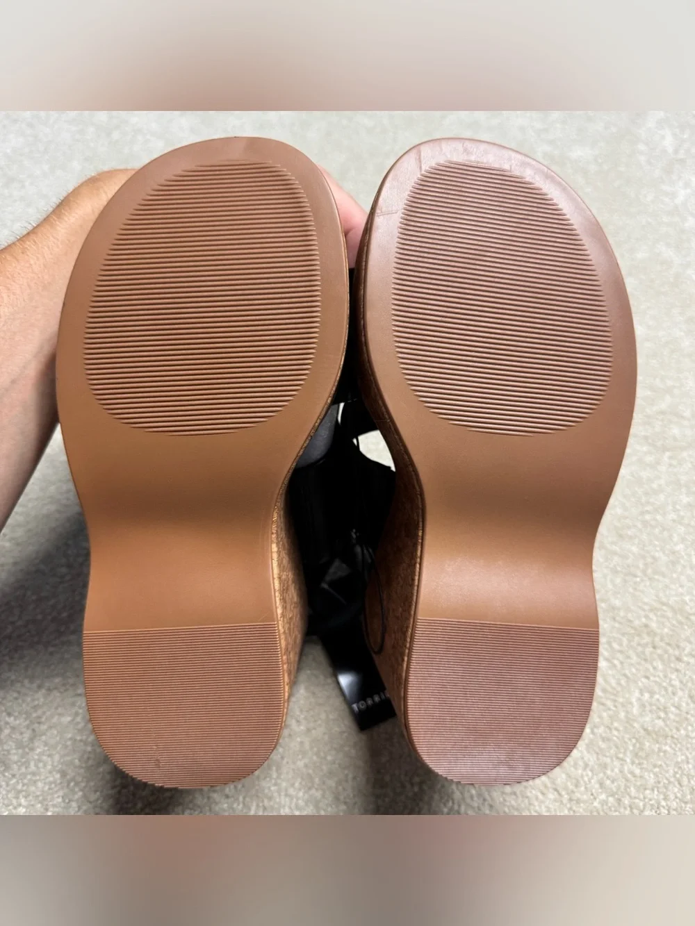 torrid brand new