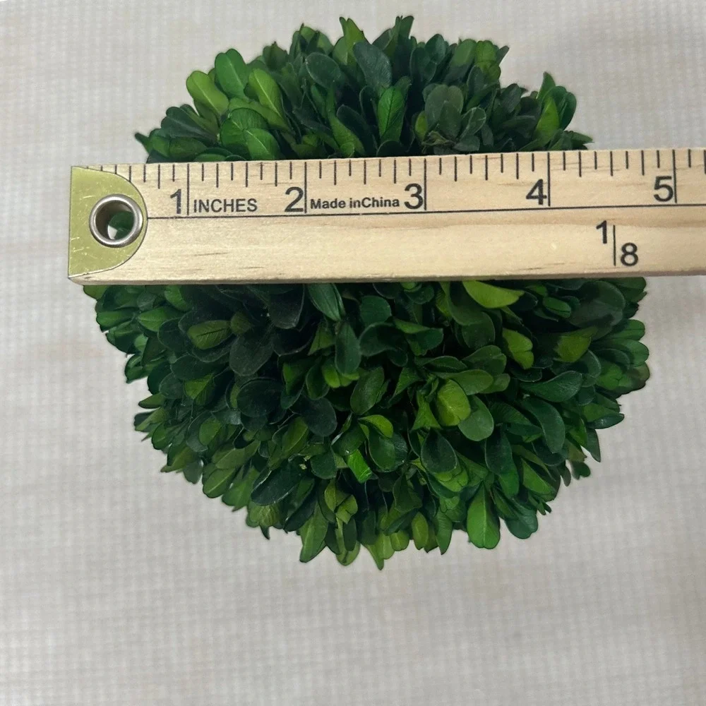 The Unbranded Brand preserved boxwood