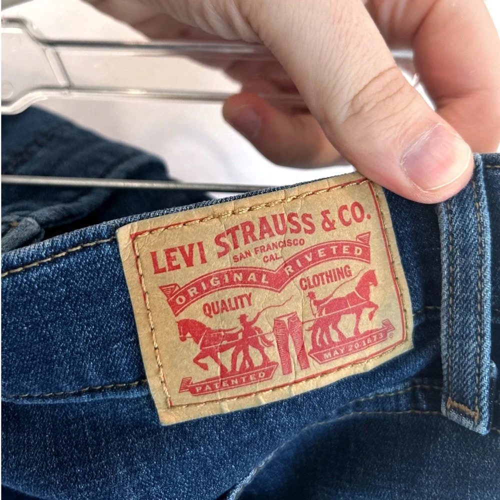 Levis levi 311
