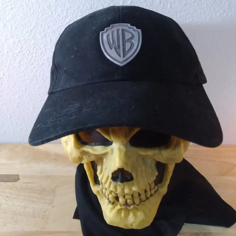 RARE 90s Vintage Warner Bros. Pewter Logo Strap Back Hat