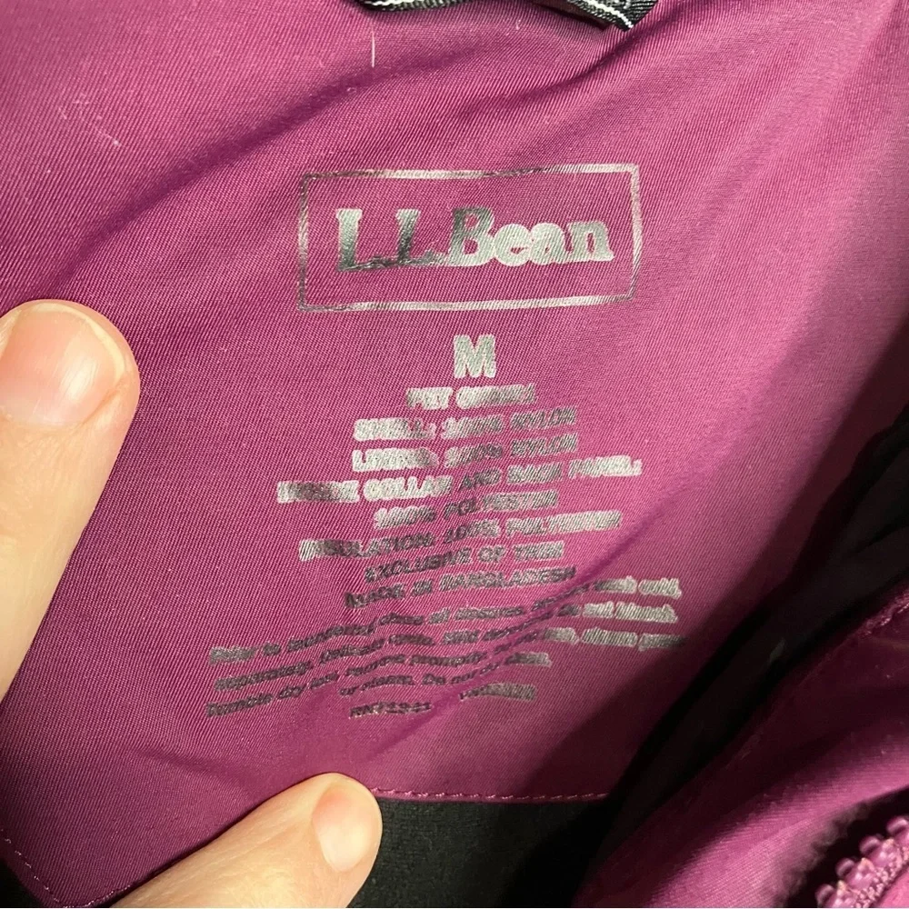 L.L. Bean bean purple