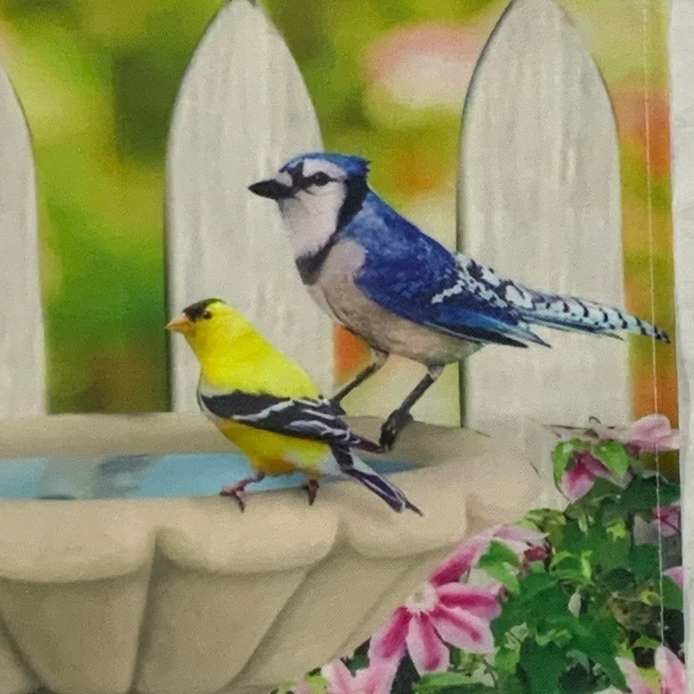 The Backyard garden flag