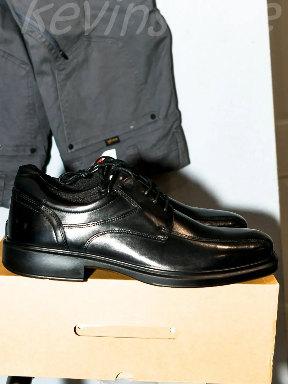 Ecco features colors