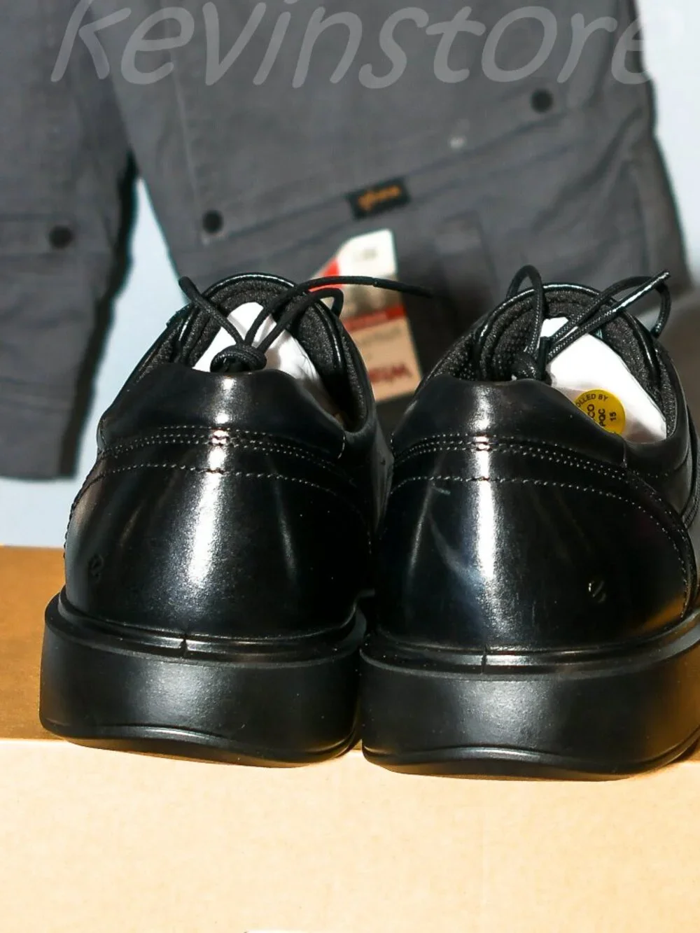 Ecco features colors