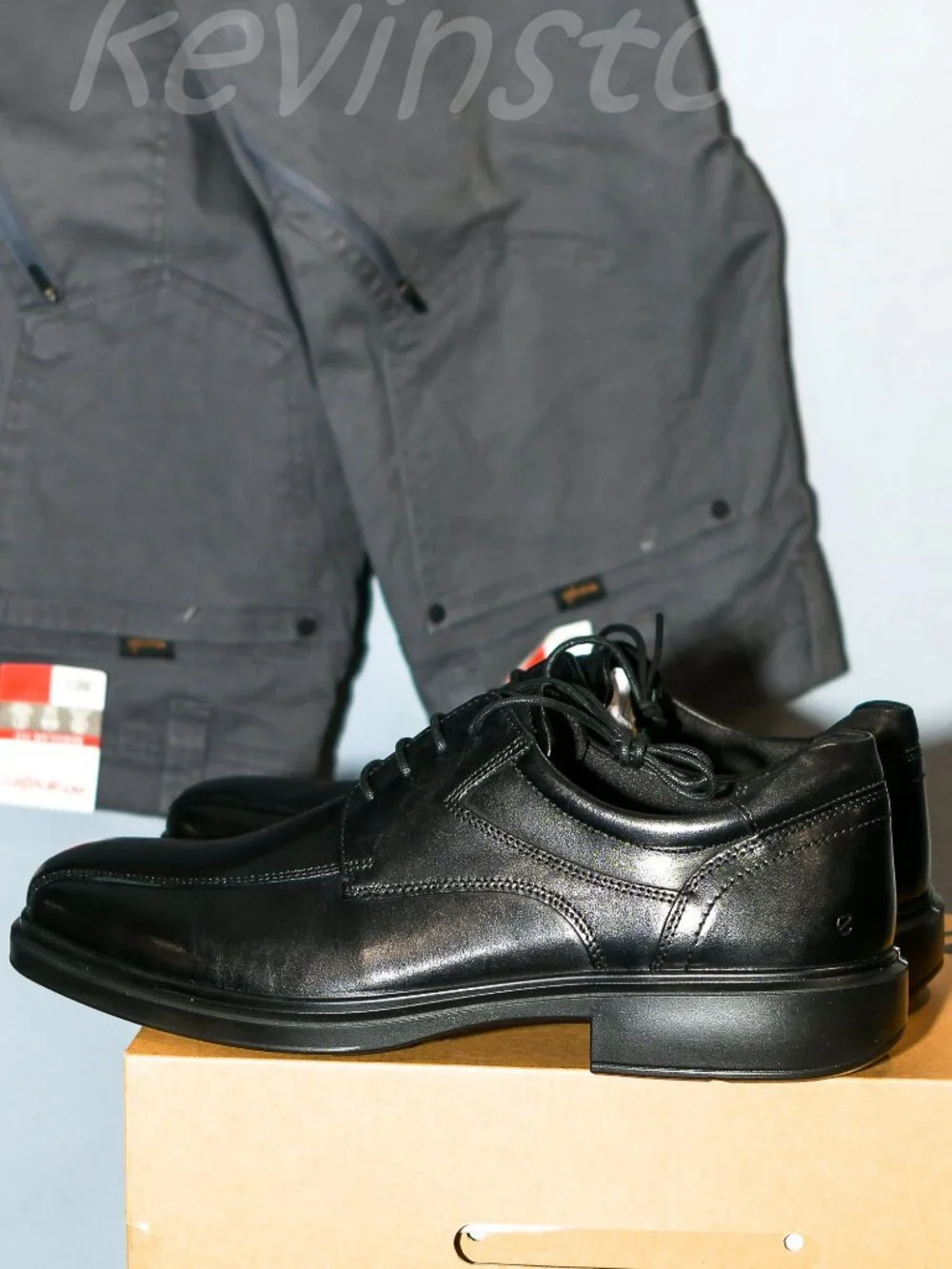 Ecco features colors