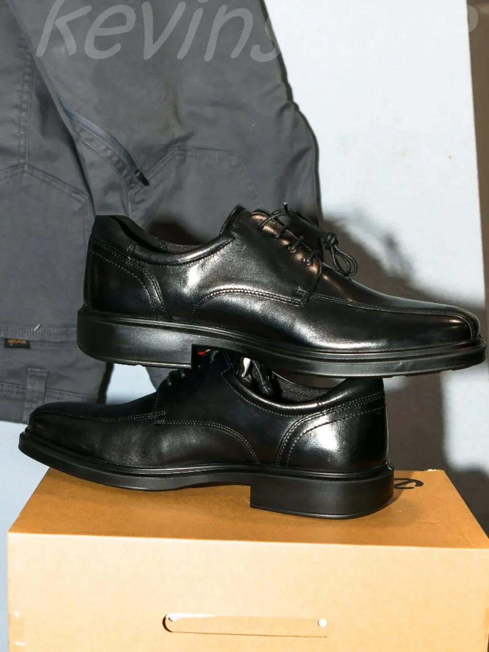 Ecco features colors