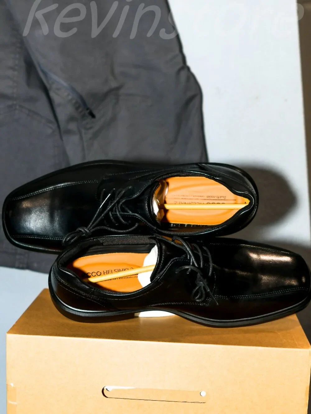 Ecco features colors
