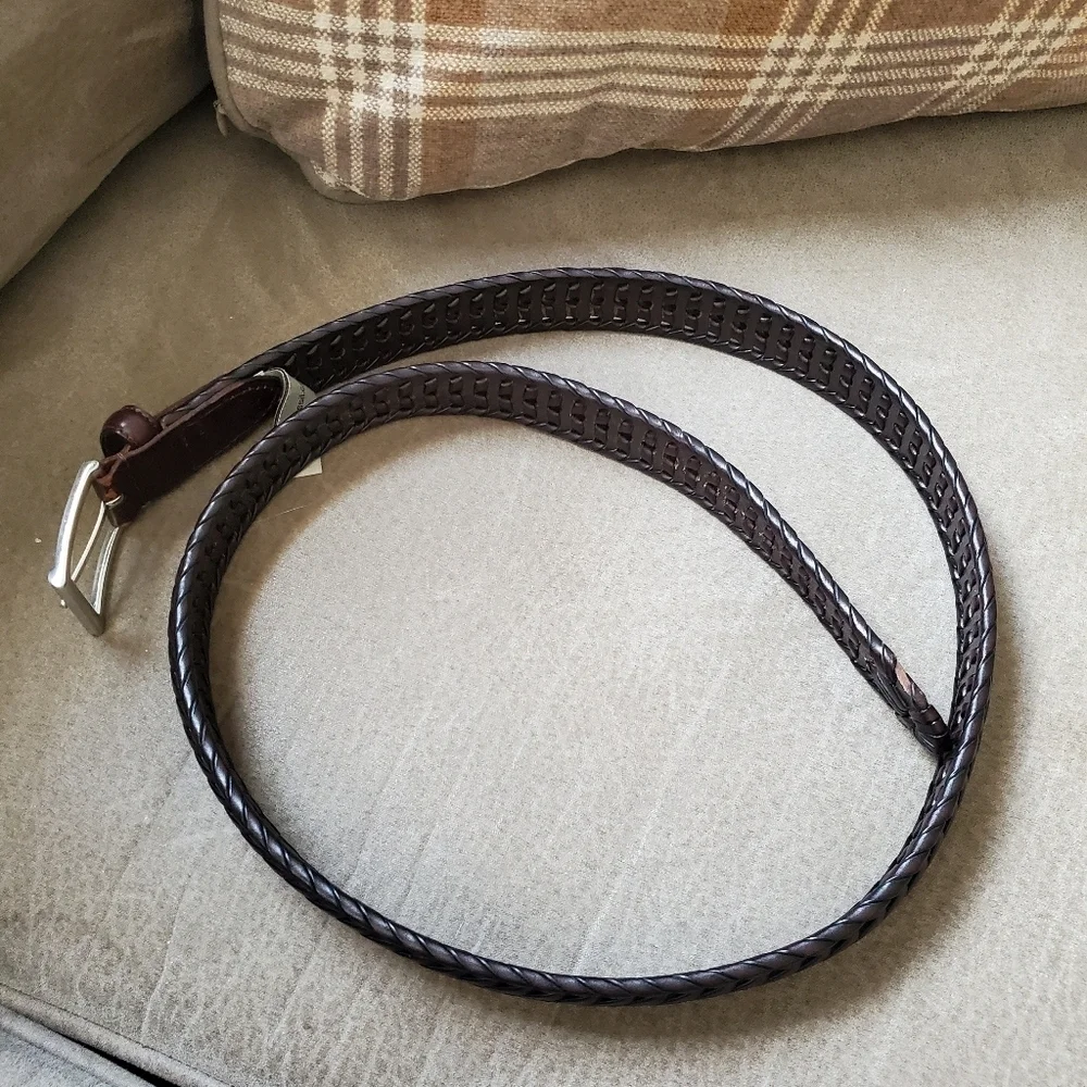 Fossil softness known