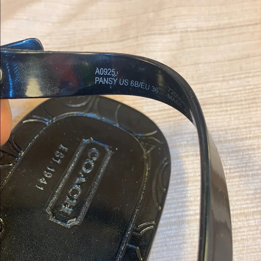 Coach stamp eu36