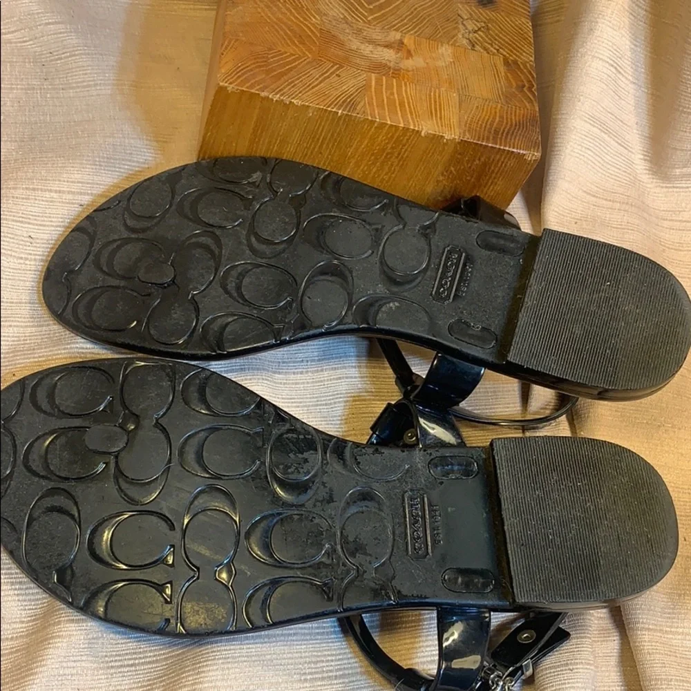 Coach stamp eu36