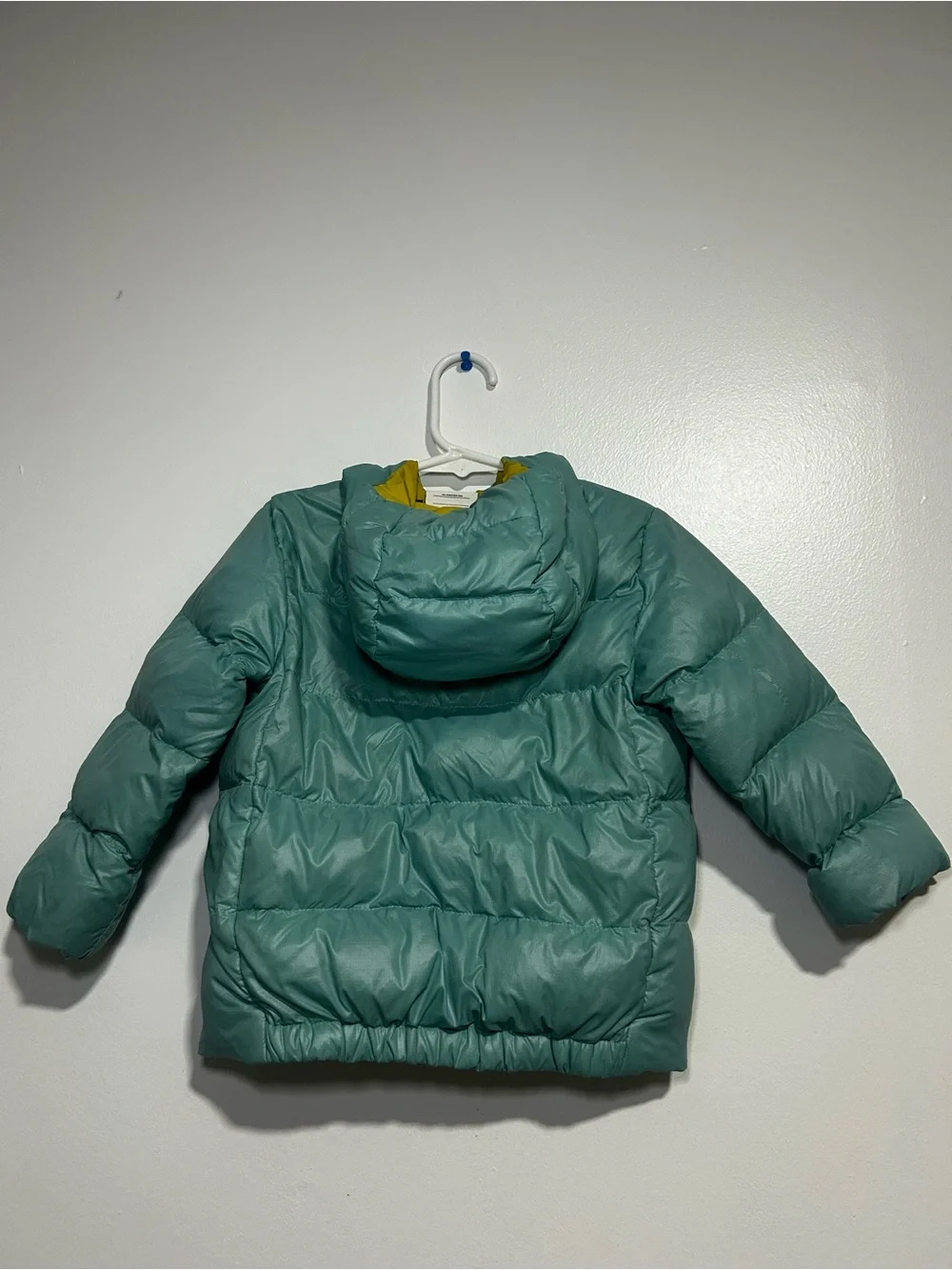 Patagonia pre owned
