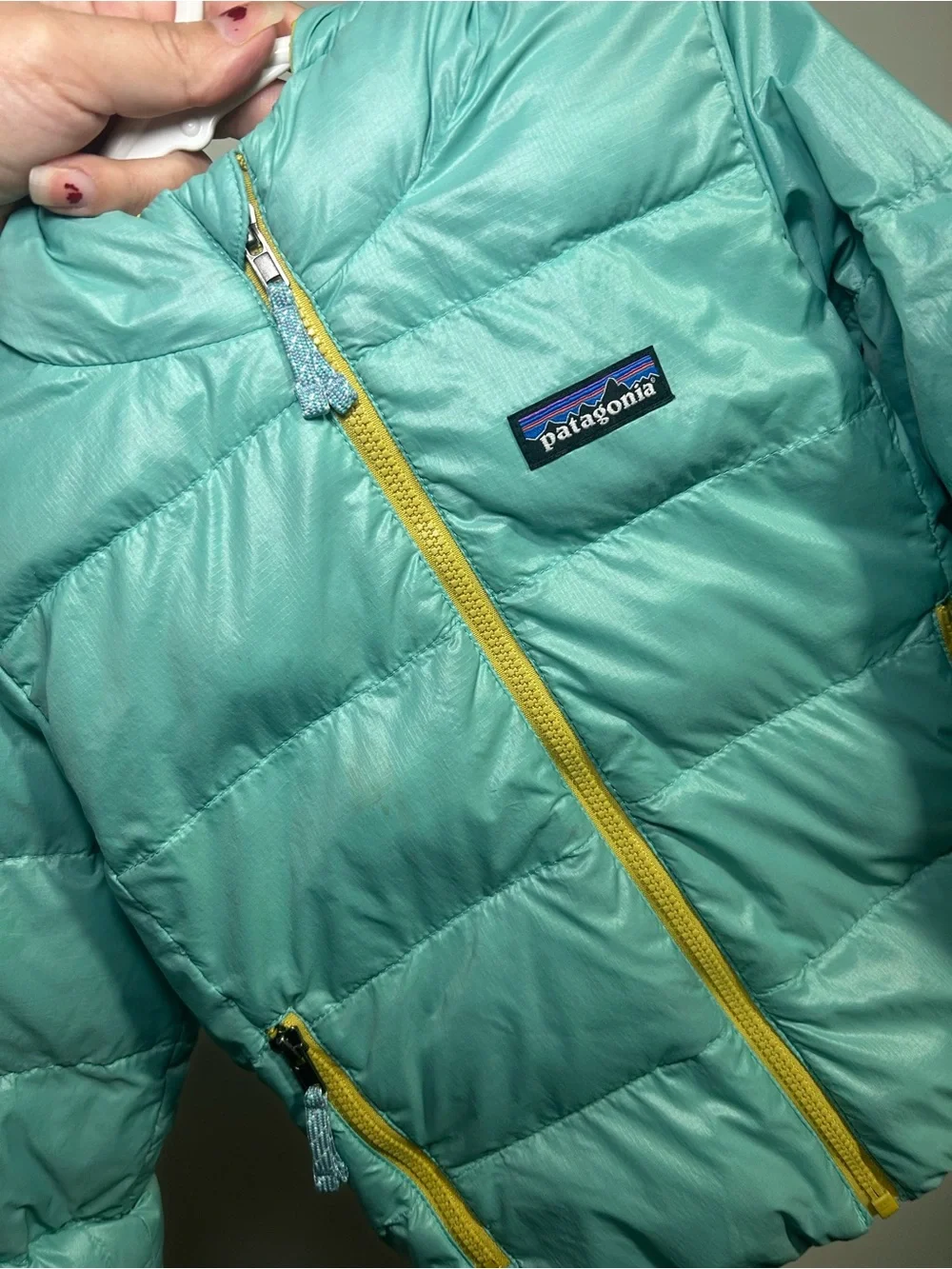 Patagonia pre owned
