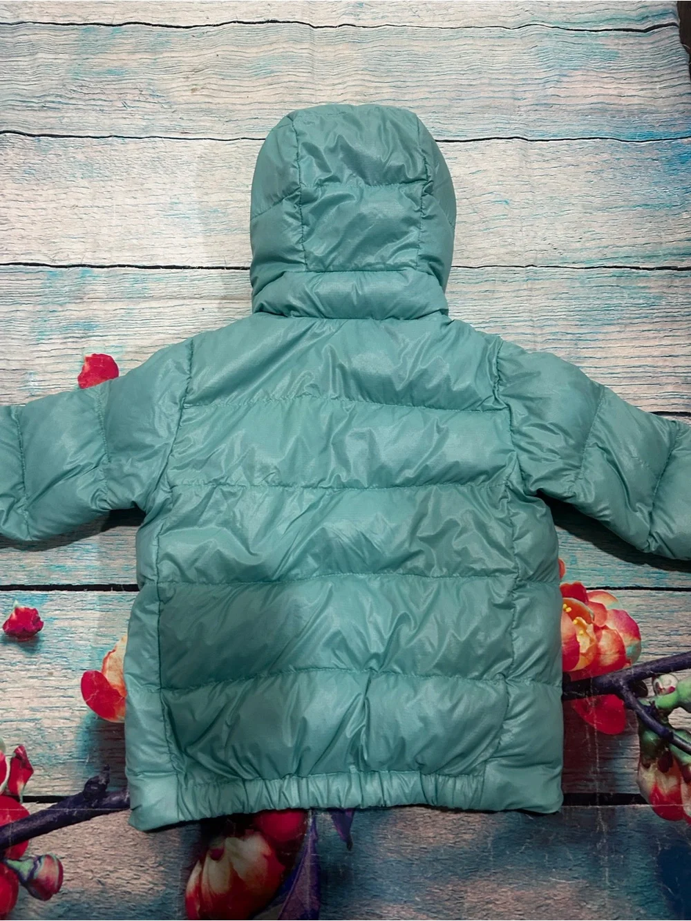 Patagonia pre owned