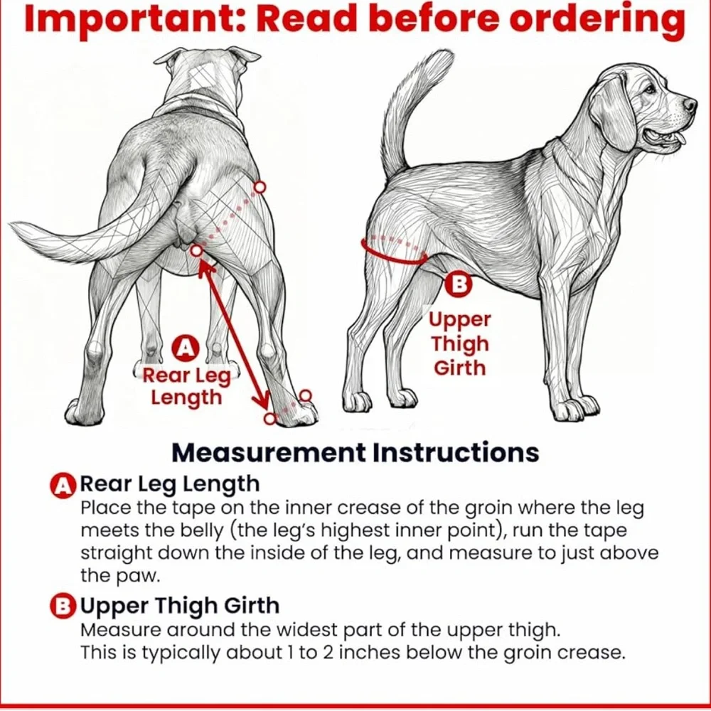 N/A size dog