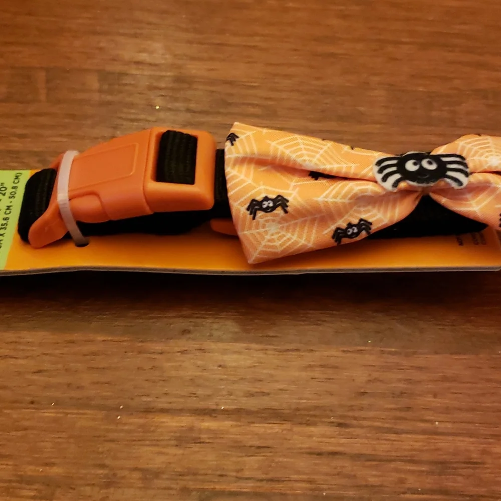 N/A dog orange tie