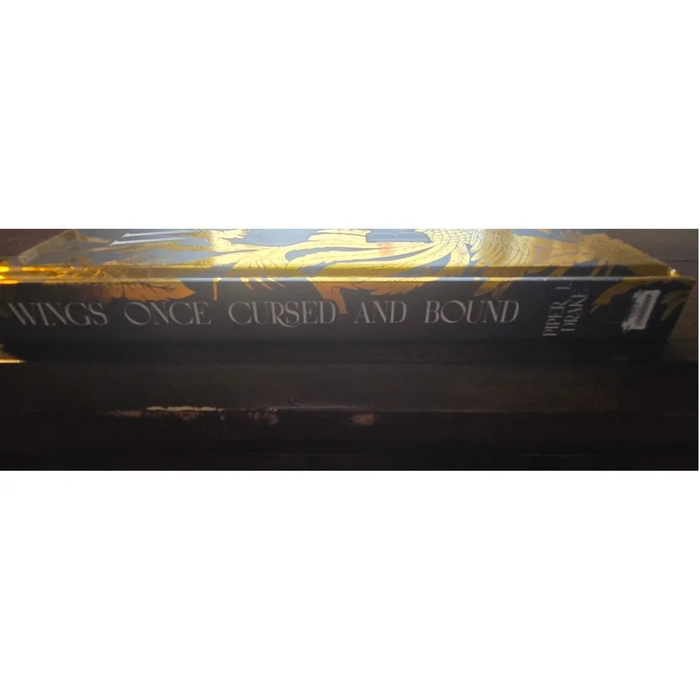 The Bookish Box & Shop wings once