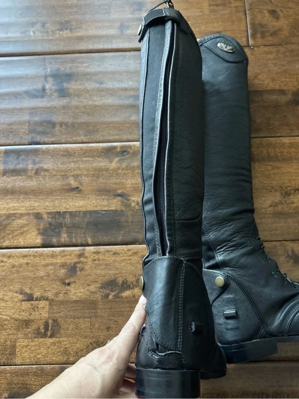 Regal sleek black