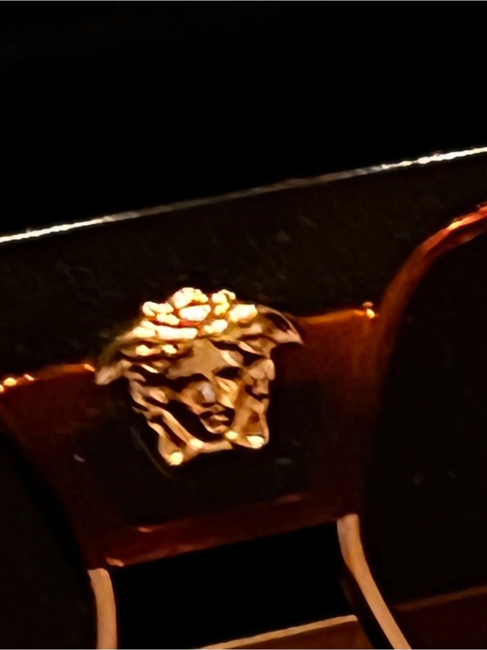 Versace bold designer