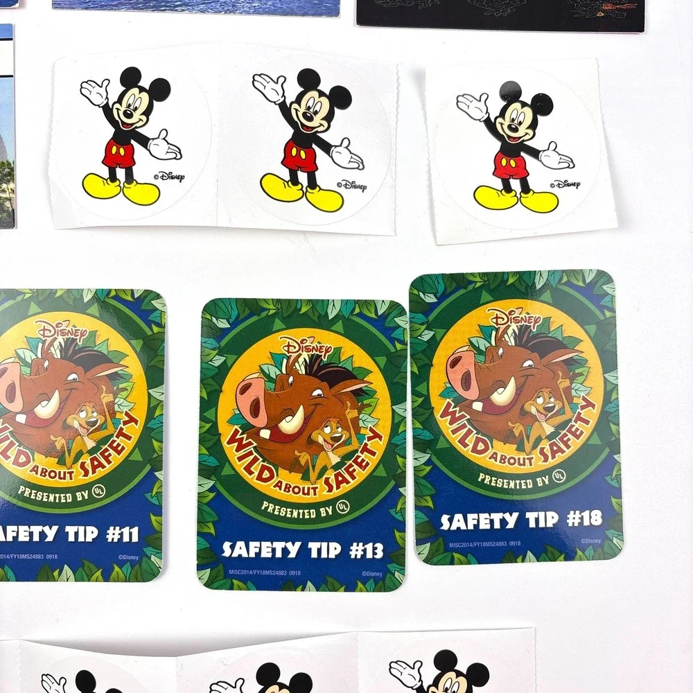 Disney walt world