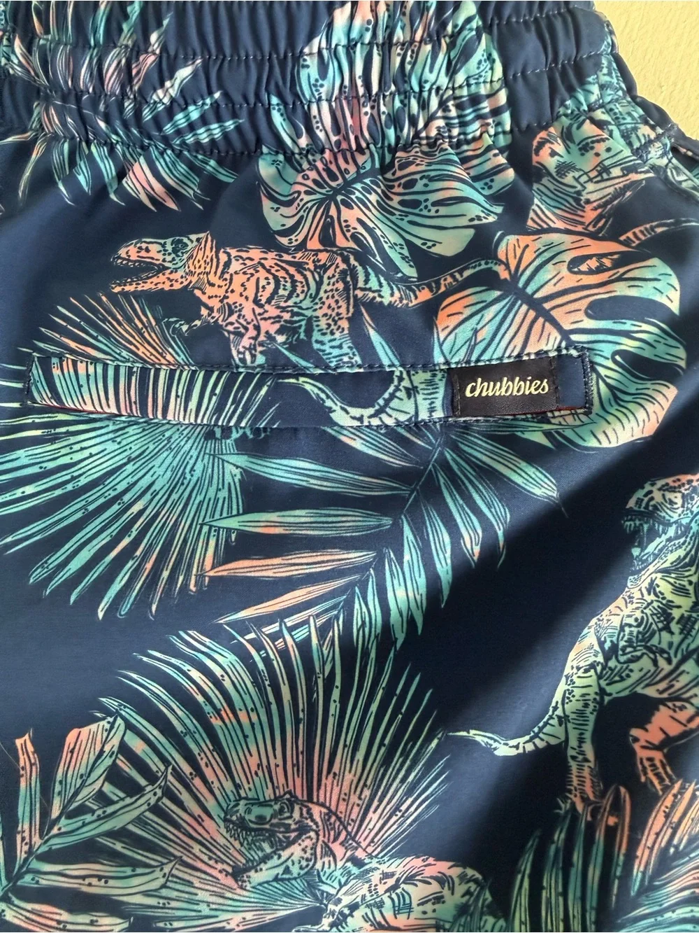 chubbies men’s swim
