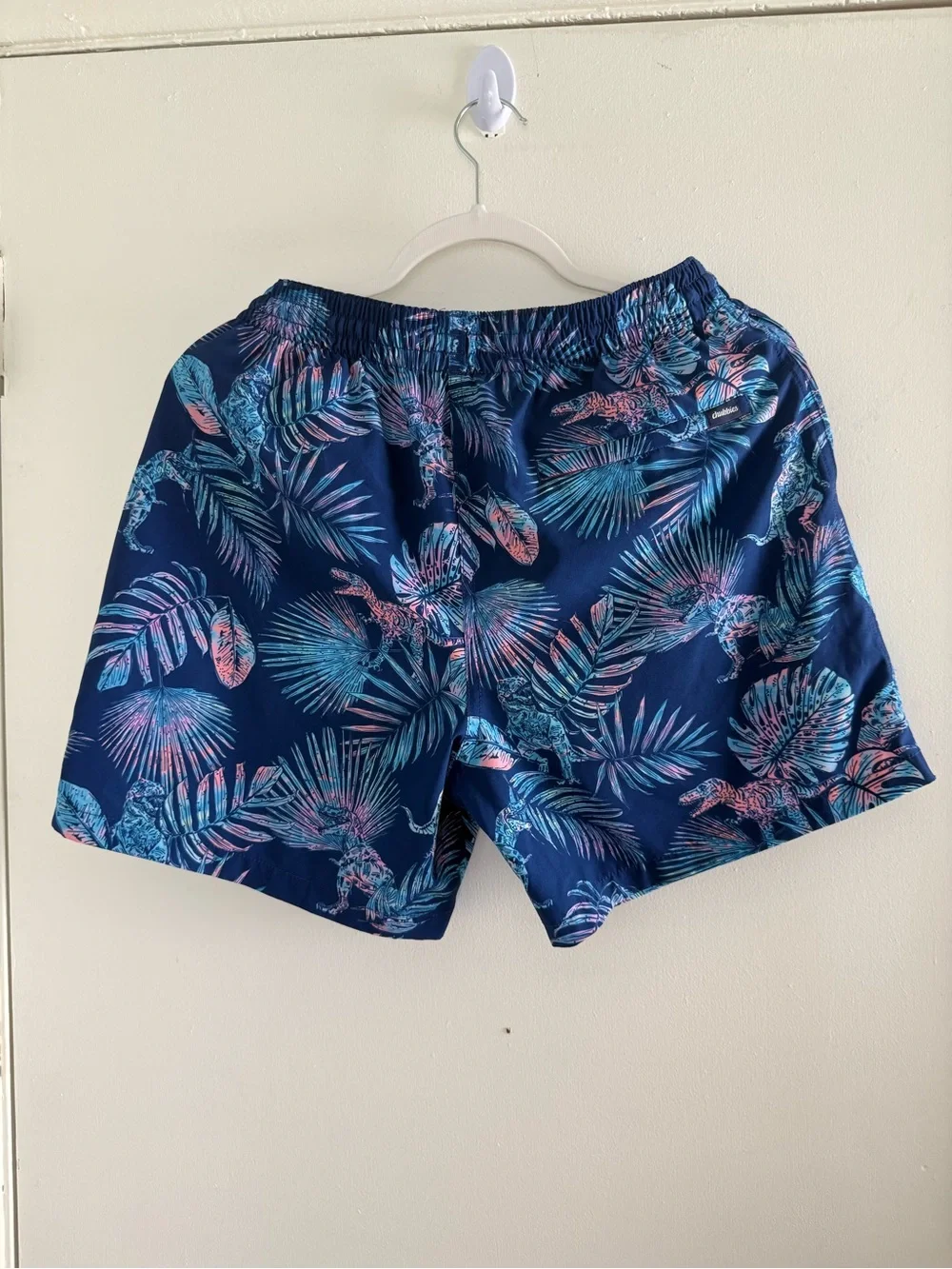chubbies men’s swim