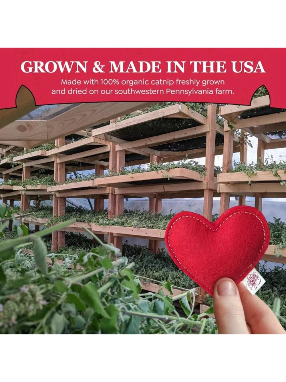 Organic Catnip Heart Toys - 100% Wool Felt, USA-Made, Red, 4 Pack for Cats