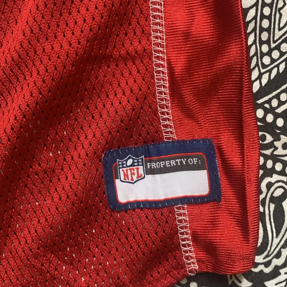 NFL 49ers Pet Jersey