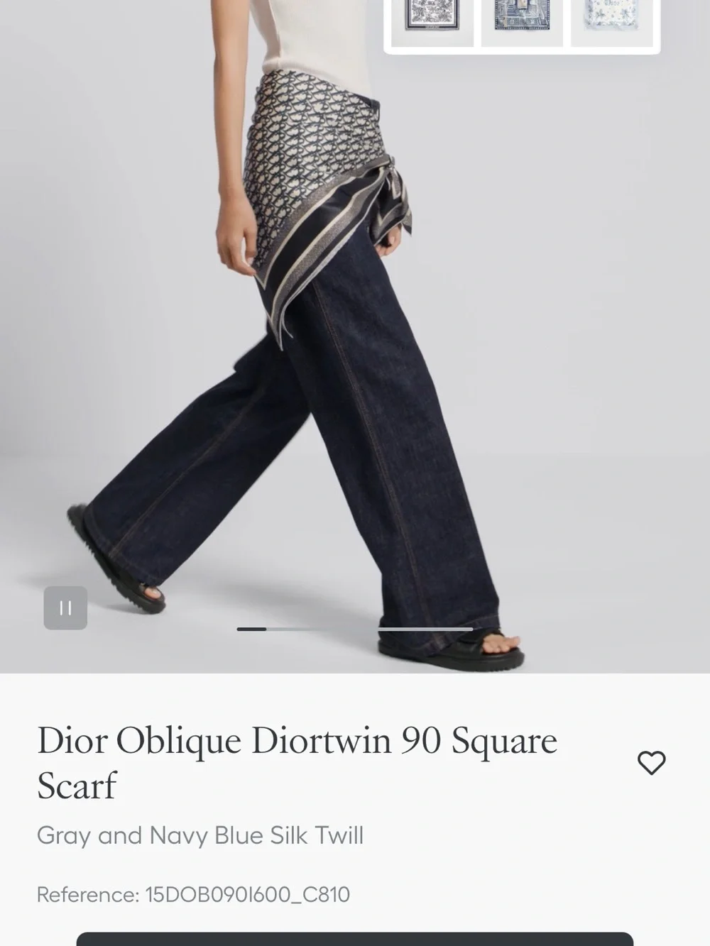 Dior oblique diortwin