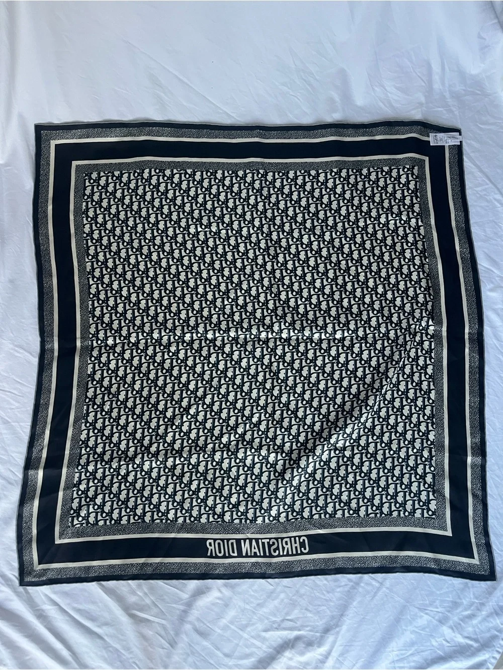 Dior oblique diortwin