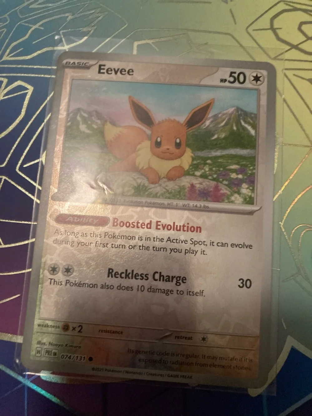 Pokemon official eevee