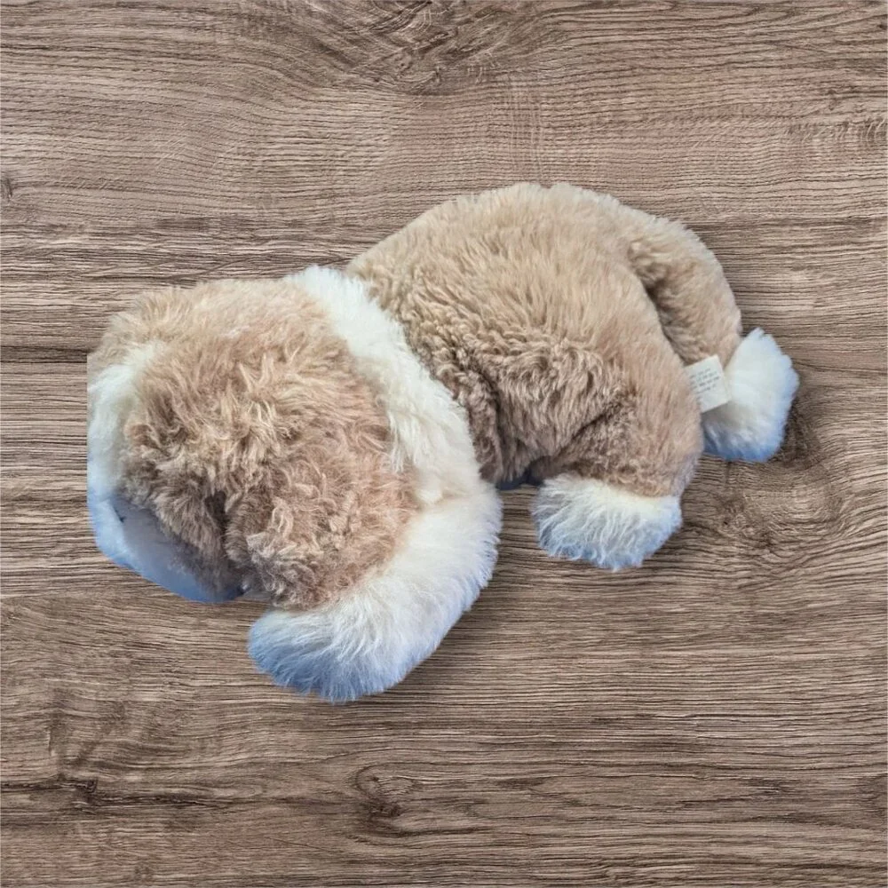 unknown meet fluffiest