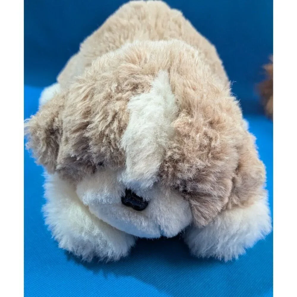 unknown meet fluffiest