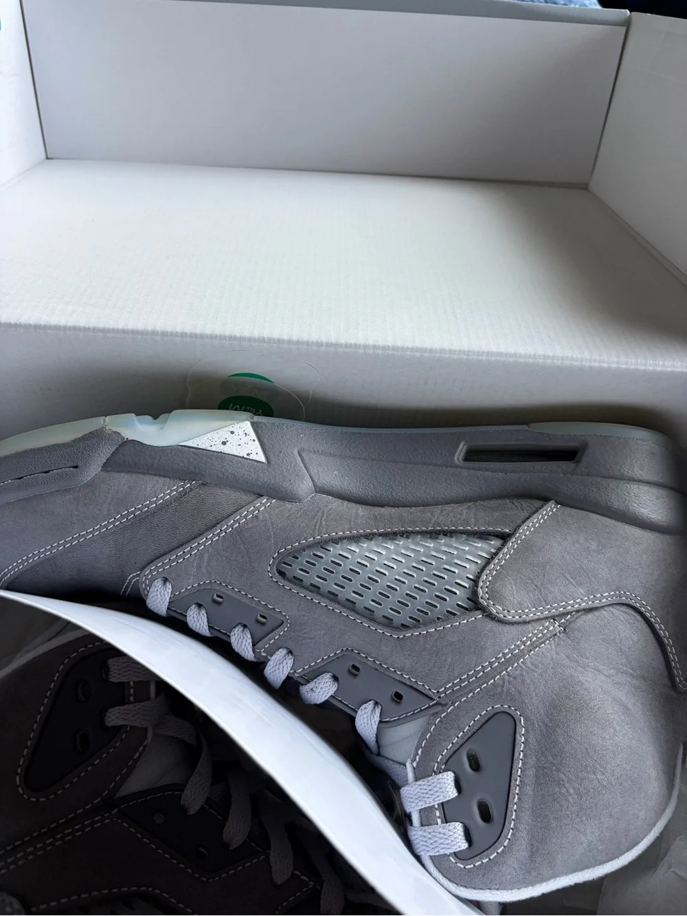 Jordan iconic design