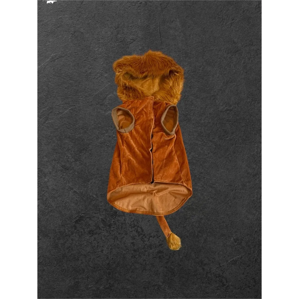 N/A lion costume