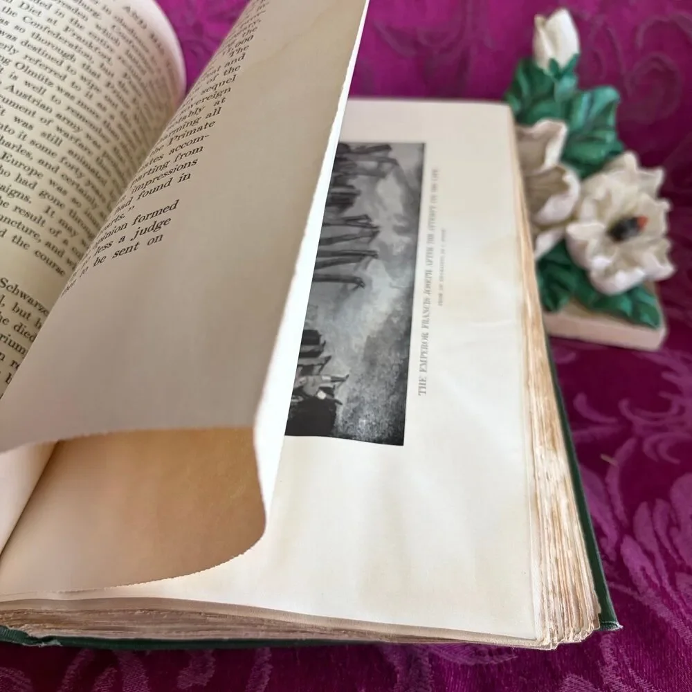 N/A illustrated biography