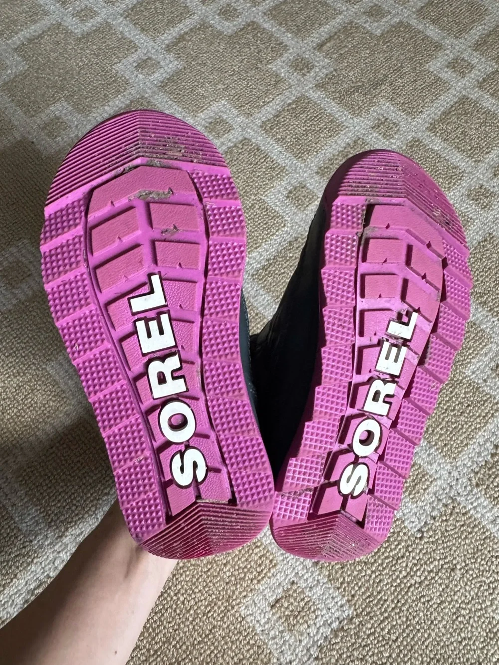 Sorel whitney ii