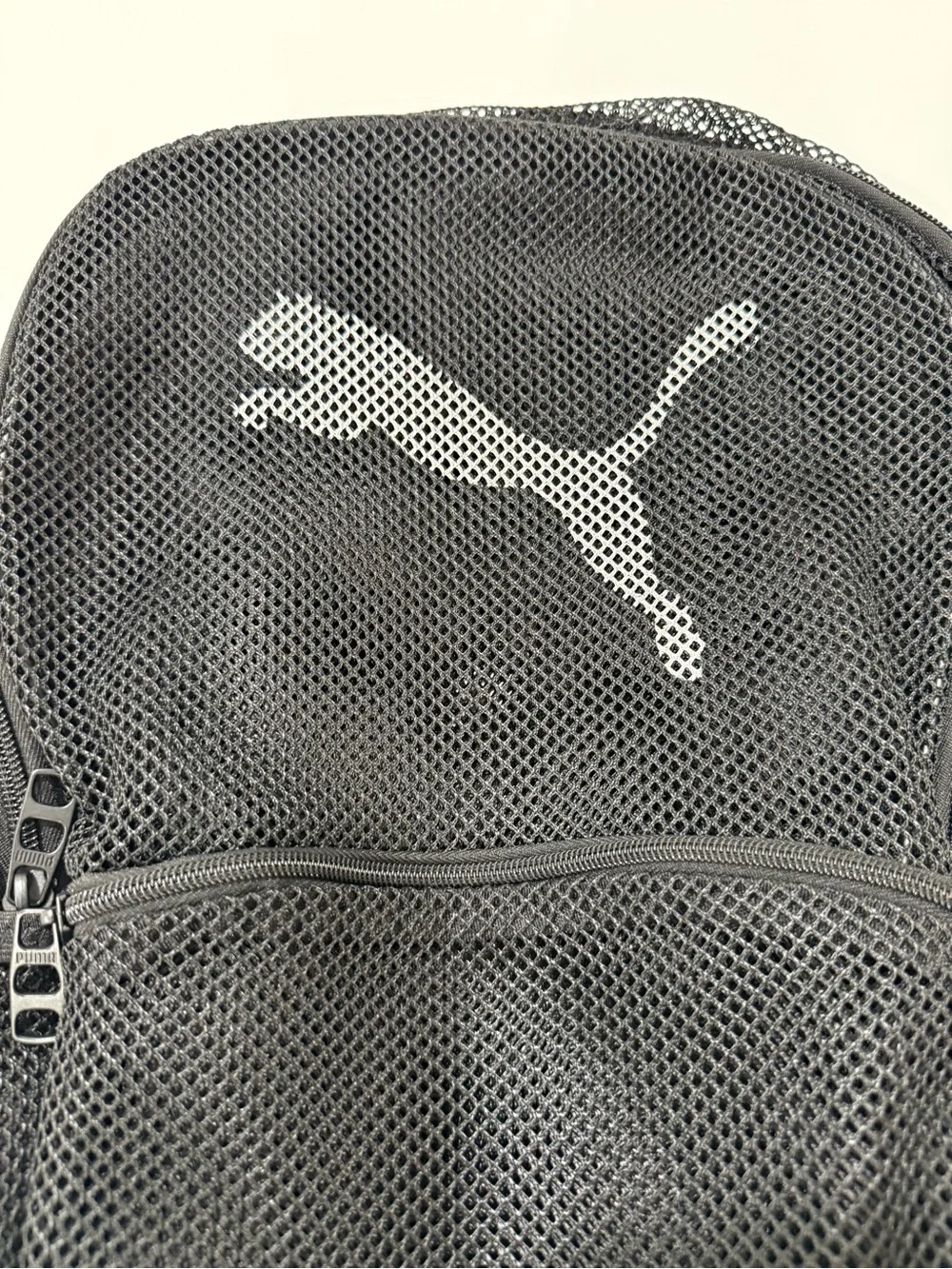 Puma this evercat