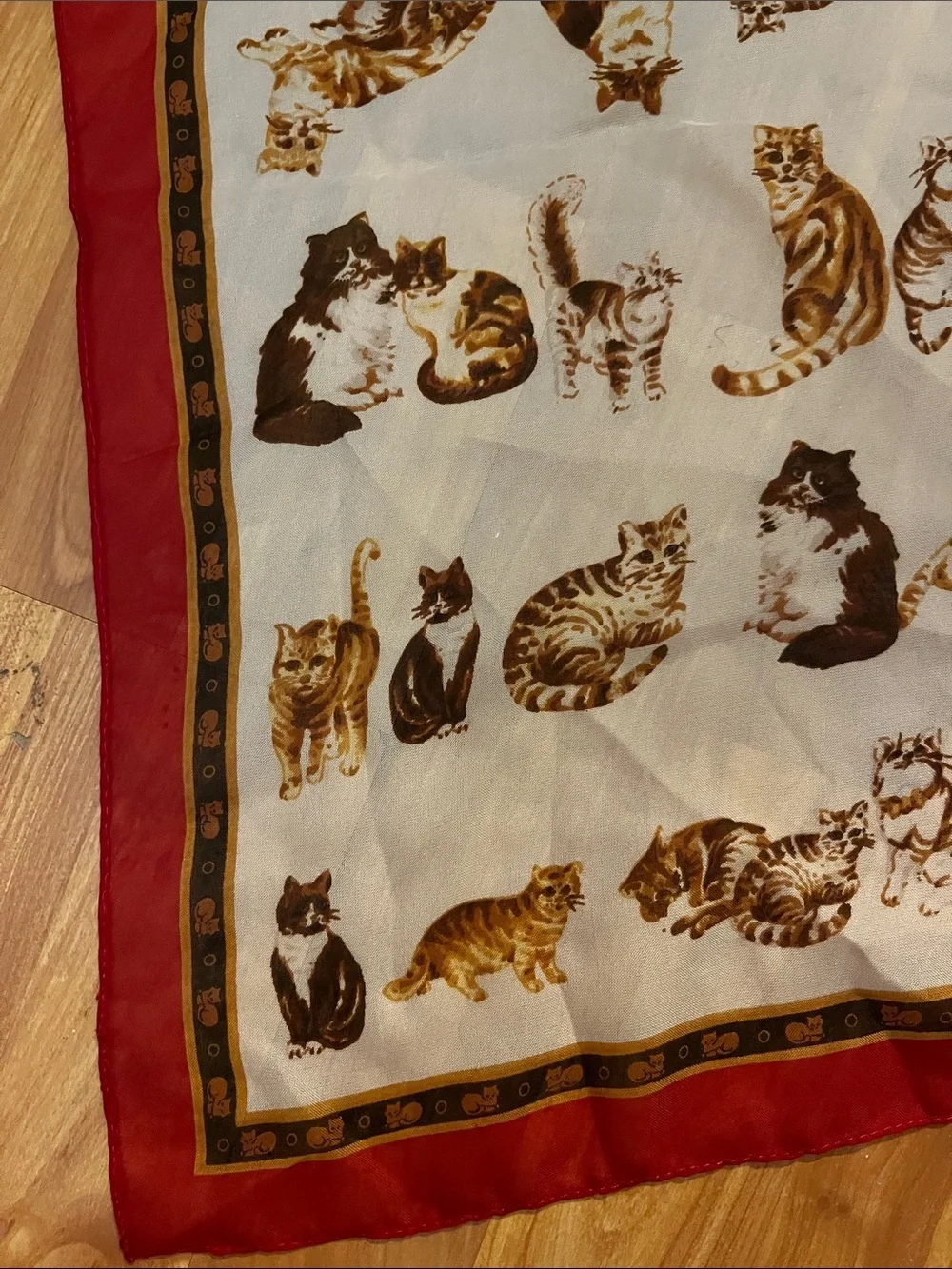 N/A vintage cat