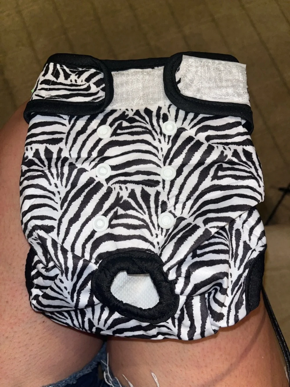 Wegneeco stylish zebra