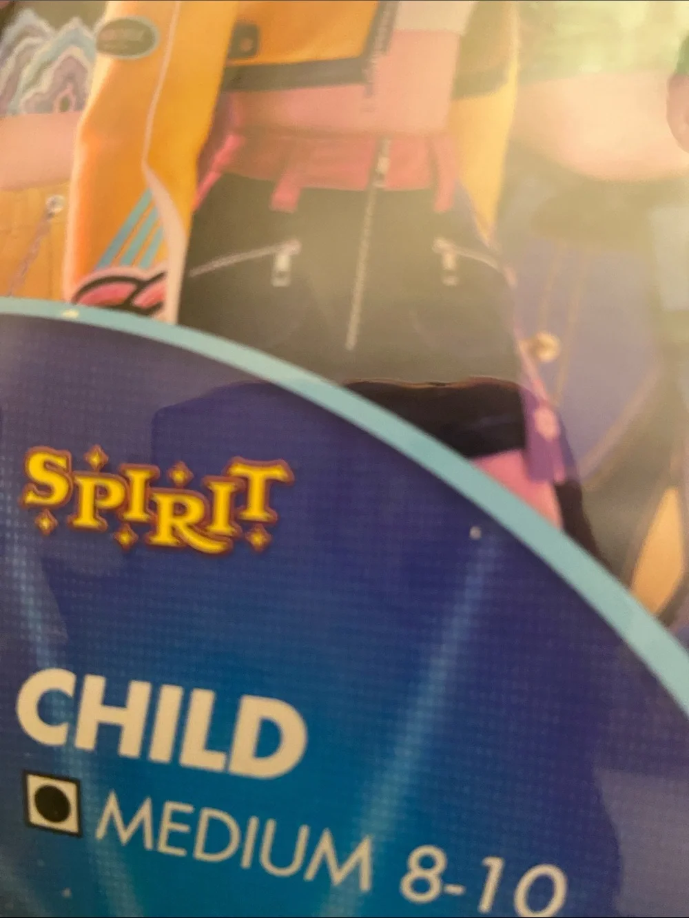 Spirit official rumi