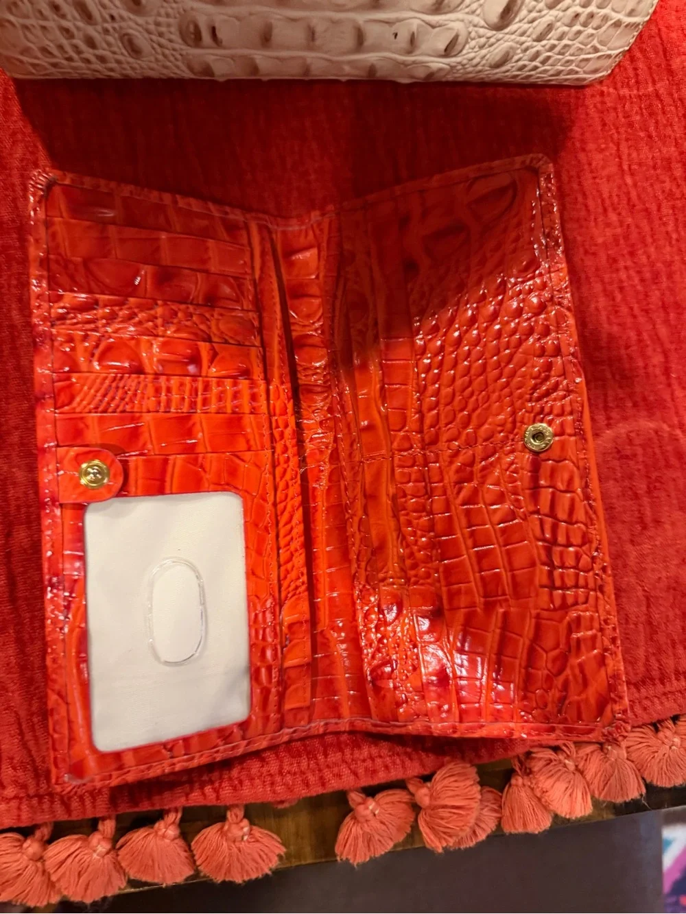 Brahmin new without